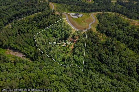 Vacant Land For Sale - LT 246 Spear Point Drive<br/> Talking Rock, GA 30175