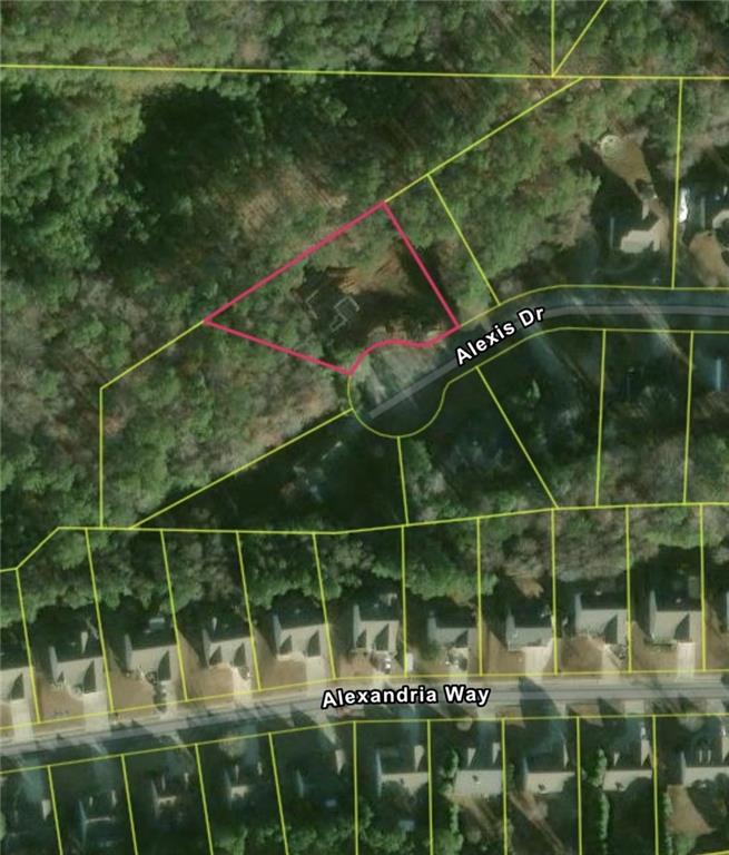 222 Alexis Drive