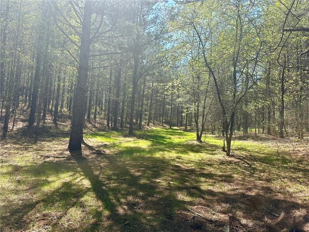 6.5-/+ Larmon Forks, Dahlonega, Georgia image 5
