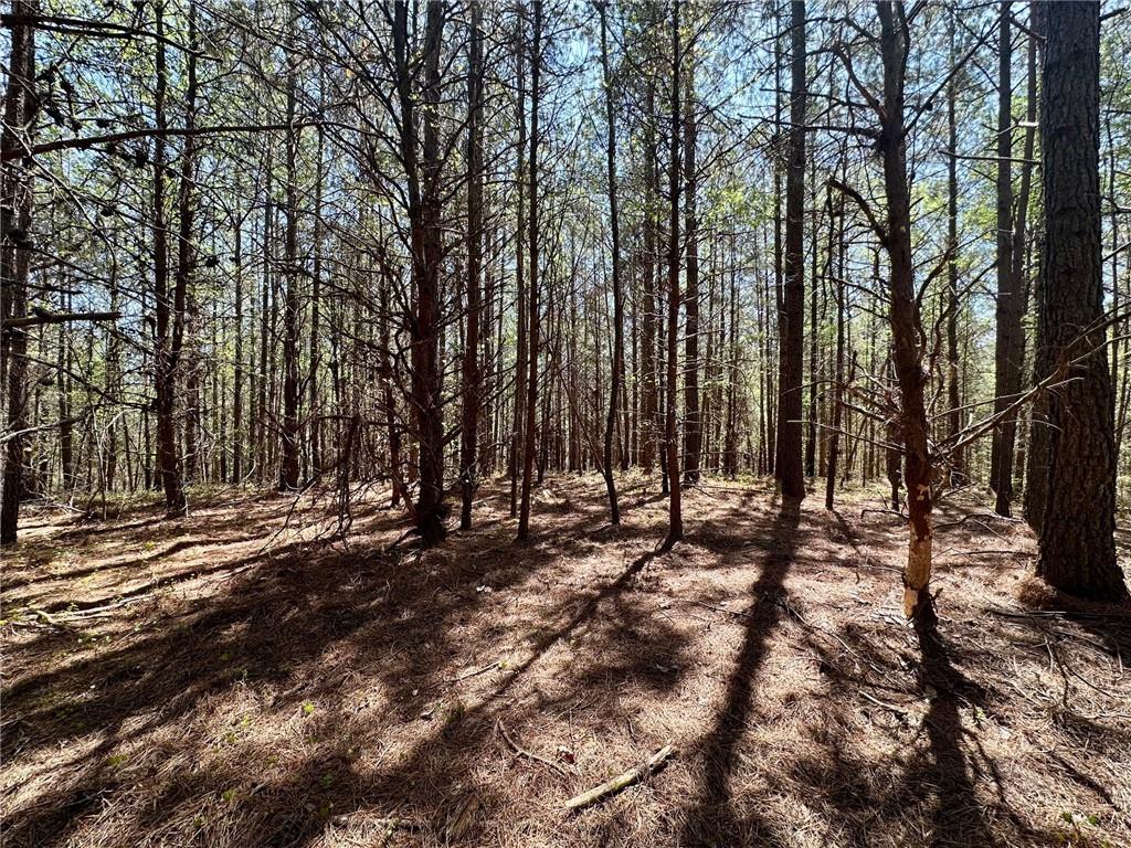 6.5-/+ Larmon Forks, Dahlonega, Georgia image 7