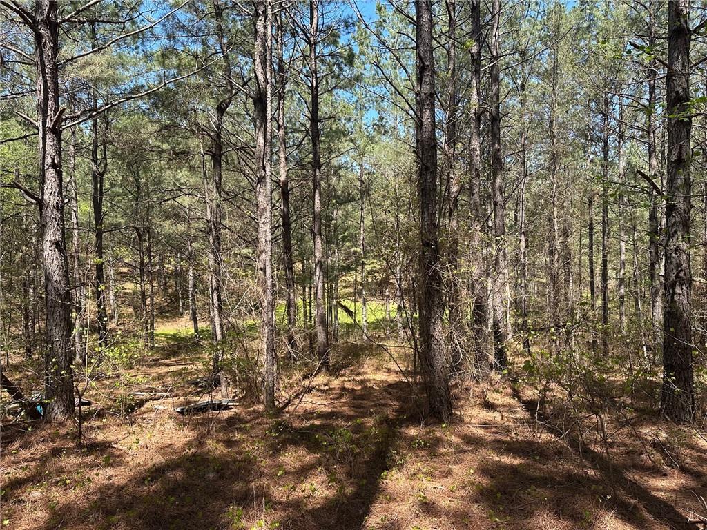 6.5-/+ Larmon Forks, Dahlonega, Georgia image 14