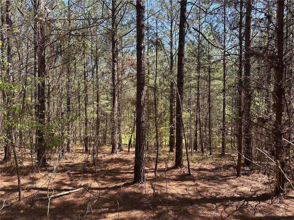 6.5-/+ Larmon Forks, Dahlonega, Georgia image 8