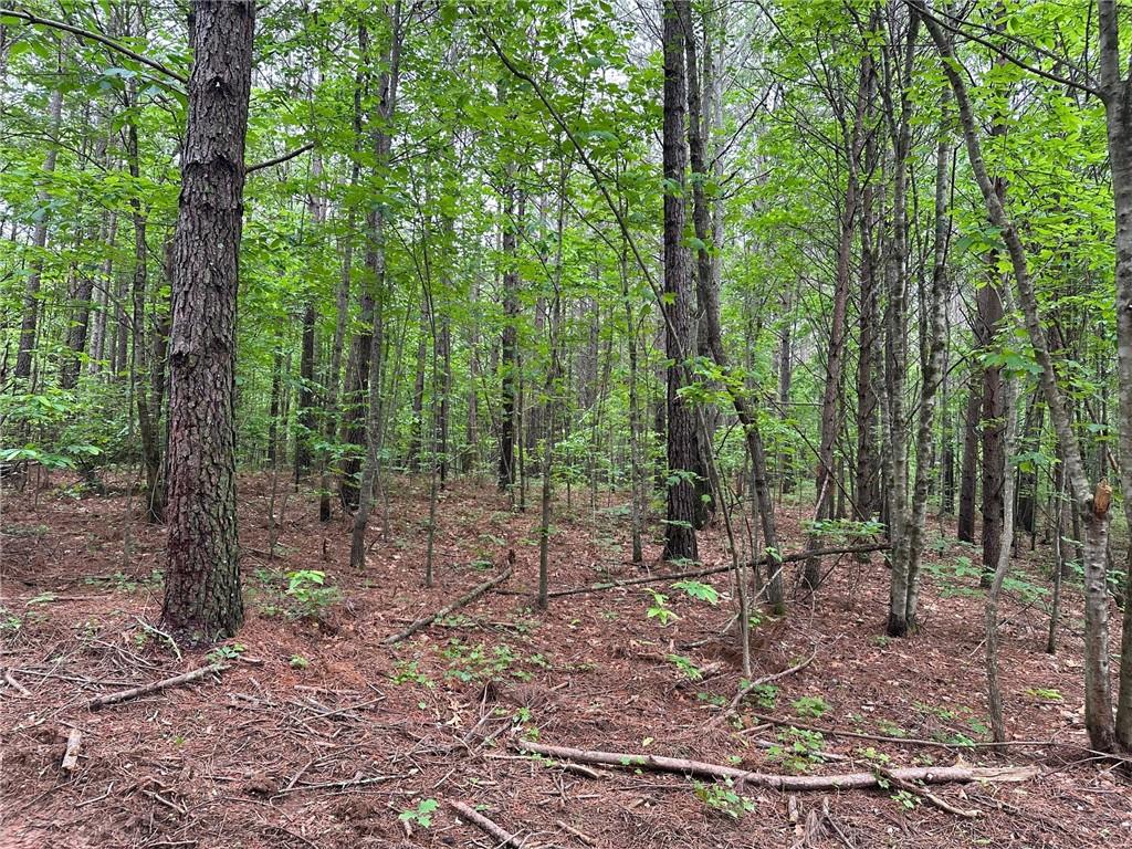 6.5-/+ Larmon Forks, Dahlonega, Georgia image 7