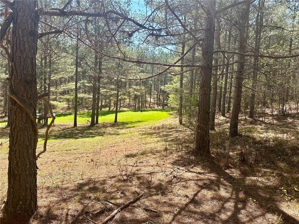 6.5-/+ Larmon Forks, Dahlonega, Georgia image 2