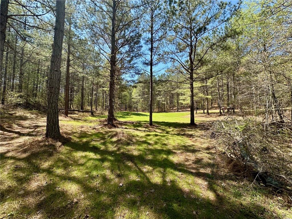 6.5-/+ Larmon Forks, Dahlonega, Georgia image 4