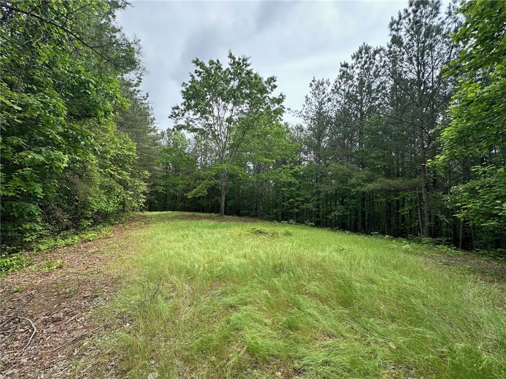 6.5-/+ Larmon Forks, Dahlonega, Georgia image 1