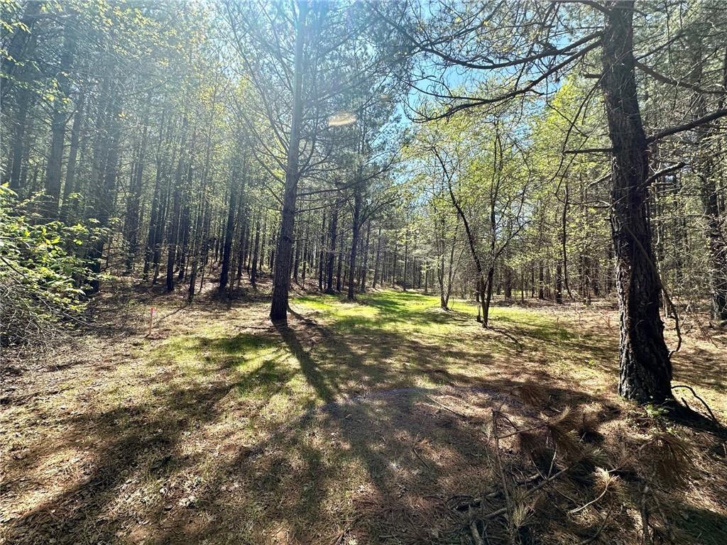 6.5-/+ Larmon Forks, Dahlonega, Georgia image 6