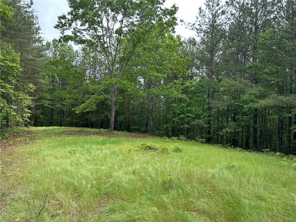 6.5-/+ Larmon Forks, Dahlonega, Georgia image 2