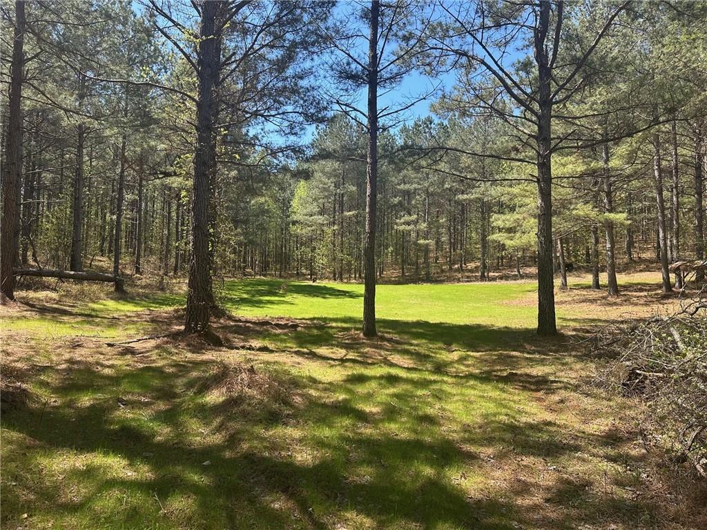 6.5-/+ Larmon Forks, Dahlonega, Georgia image 3