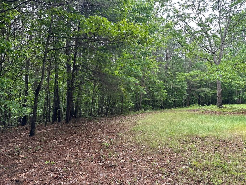 6.5-/+ Larmon Forks, Dahlonega, Georgia image 6