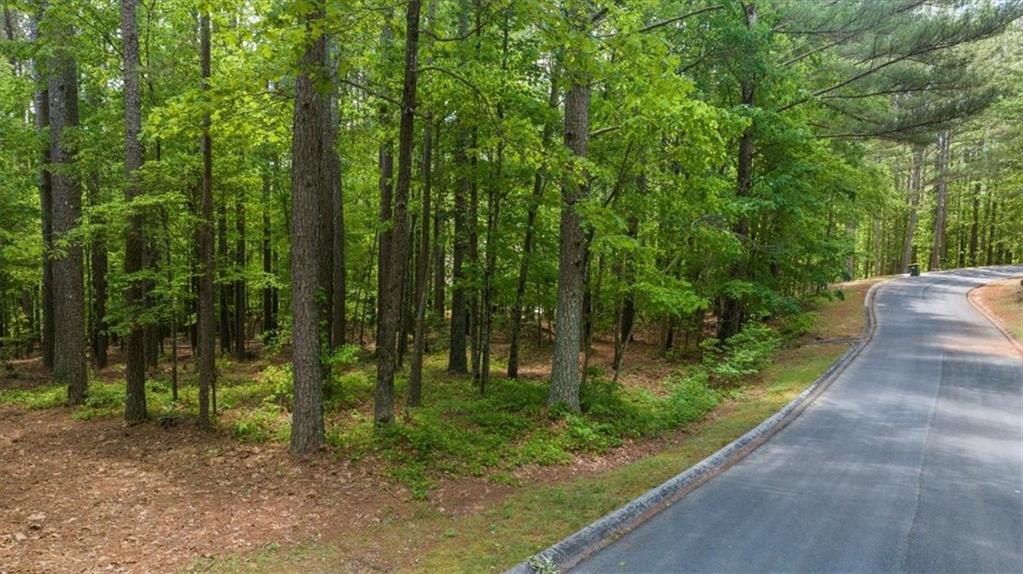 Golden Delicious Road, Clarkesville, Georgia image 1