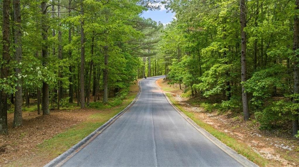 Golden Delicious Road, Clarkesville, Georgia image 4