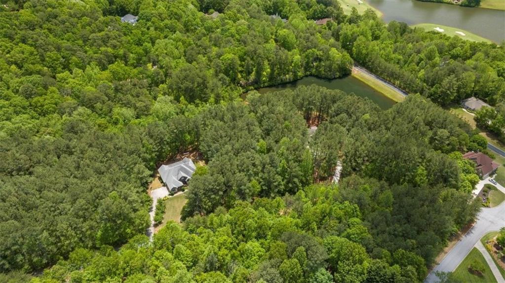 Golden Delicious Road, Clarkesville, Georgia image 12