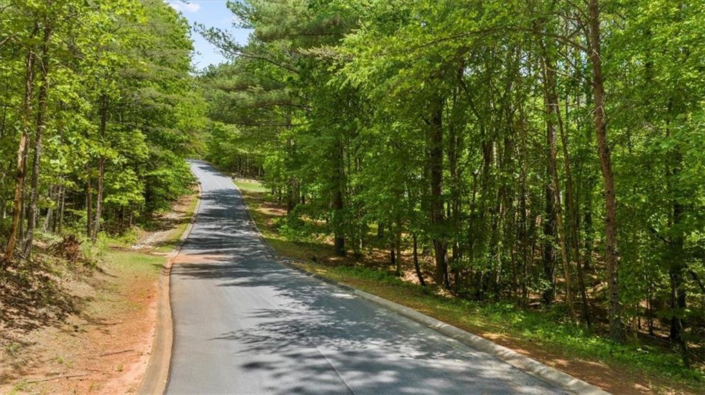 Golden Delicious Road, Clarkesville, Georgia image 2