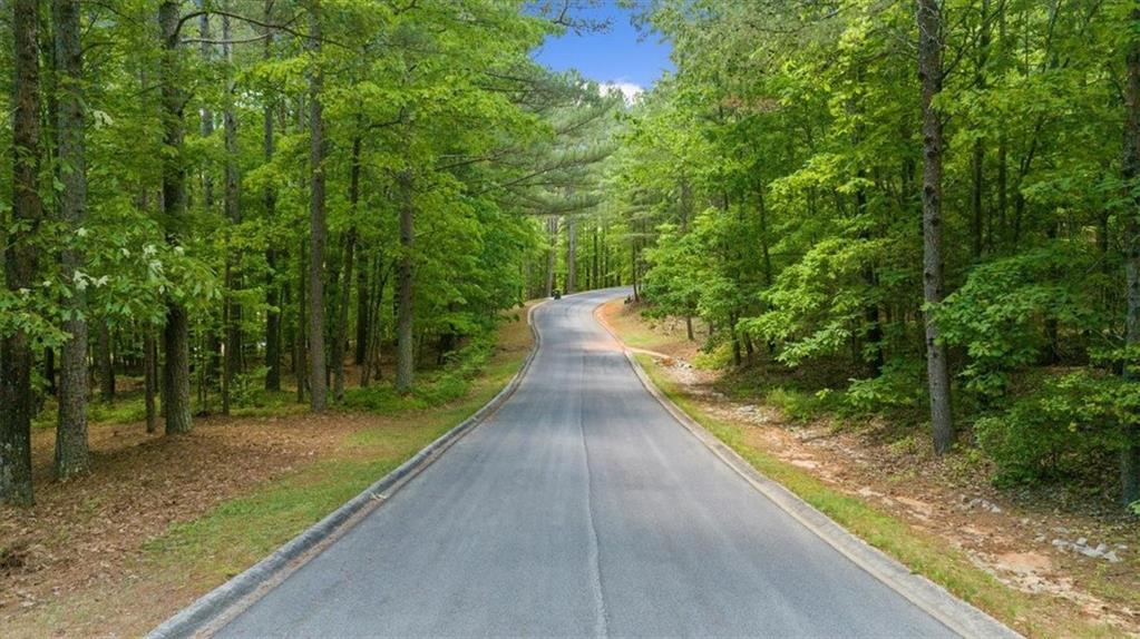Golden Delicious Road, Clarkesville, Georgia image 3
