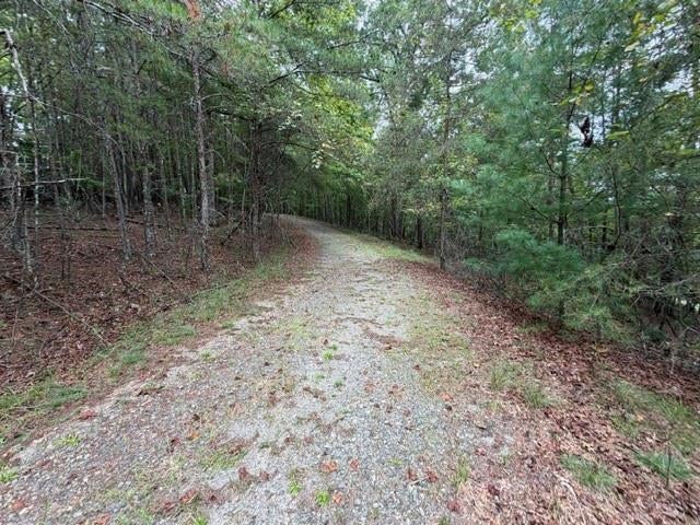 Lot 20 Horseshoe Bend Road, Dahlonega, GA, 30533 Lot 20 Horseshoe Bend Road