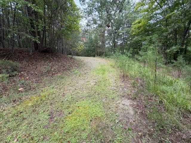 Lot 20 Horseshoe Bend Road, Dahlonega, GA, 30533 Lot 20 Horseshoe Bend Road