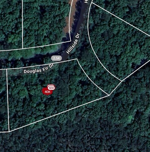 Vacant Land For Sale - 101 Douglas Fir Drive<br/> Waleska, GA 30183