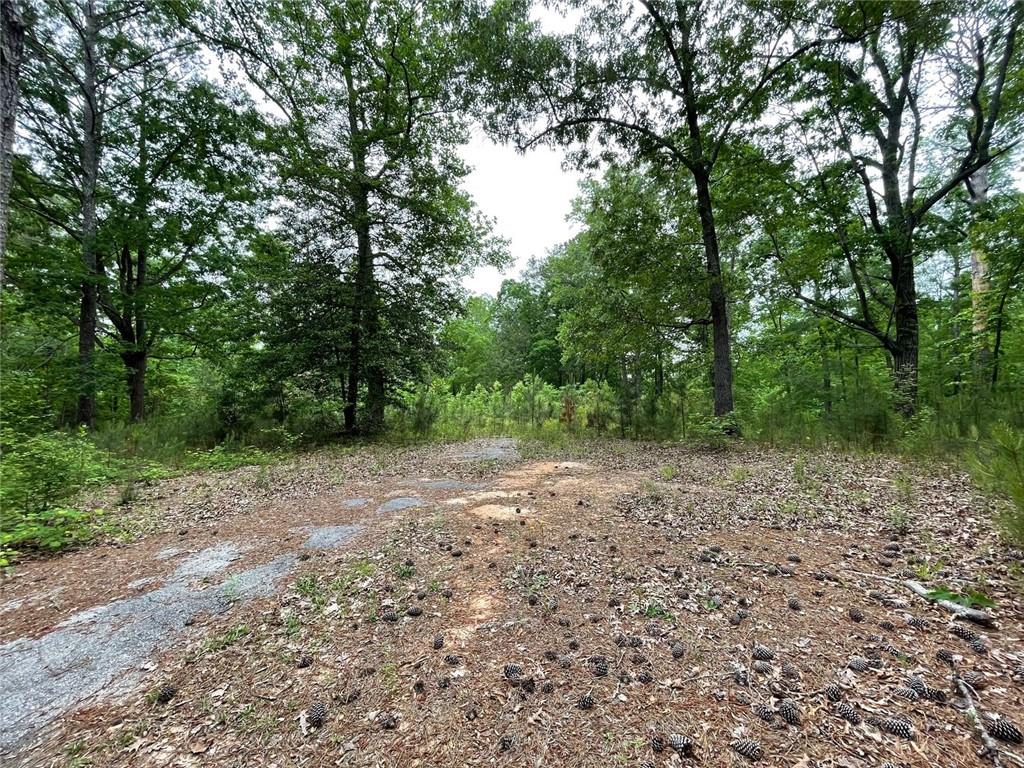 575 Anderson Creek Rd Road, Covington, Georgia image 1