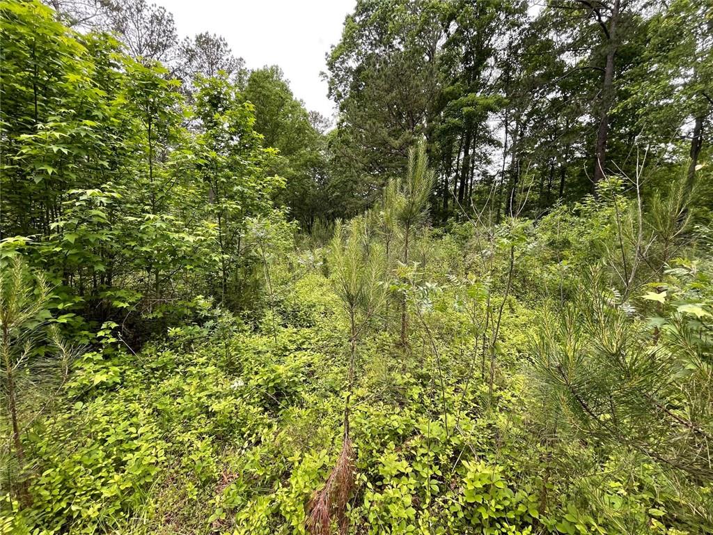 575 Anderson Creek rd Road