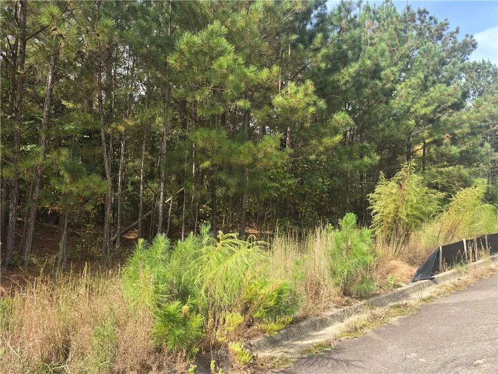 Jackson, Georgia 30233, United States, ,Land,Active,231137