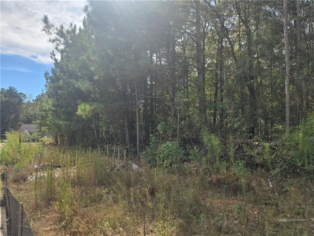 Jackson, Georgia 30233, United States, ,Land,Active,231137