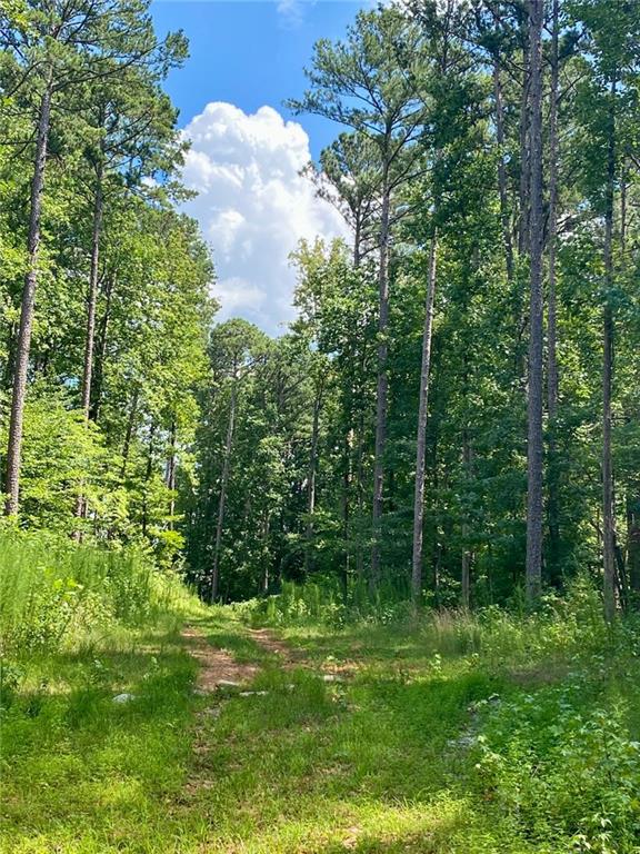 Rare opportunity to build your dream home in Cumming with access to EVERYTHING - restaurants, shopping and Ga 400., This 2.216 acre lot is in
prestigious Canongate on Lanier, close enough to Lake Lanier to enjoy all of the benefits of Lake Life! This lot offers complete privacy for your dream
home - imagine your perfect custom home AND a prime location - you get both with this lot! The seller has a Level 3 Soil Report completed. This is a
MUST SEE lot - at half the price of similar size lots in the Central/South Forsyth area! This is truly a UNICORN property - nothing else like it on the
market. Please see all disclosures - the Seller has done all of the work, now you just need to bring your home plans and start enjoying!