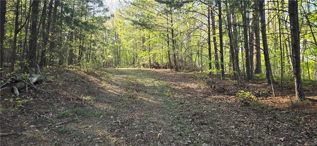 2297 Highway 136, Talking Rock, Georgia image 20
