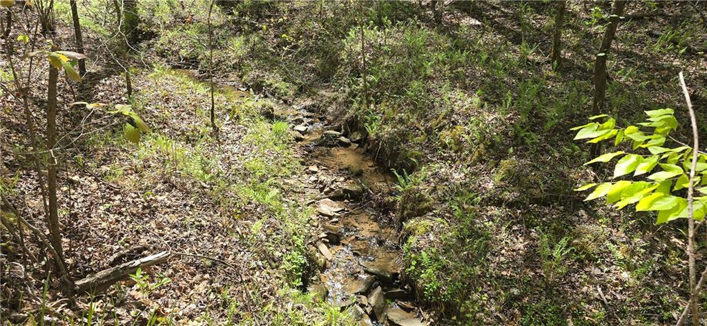 2297 Highway 136, Talking Rock, Georgia image 9