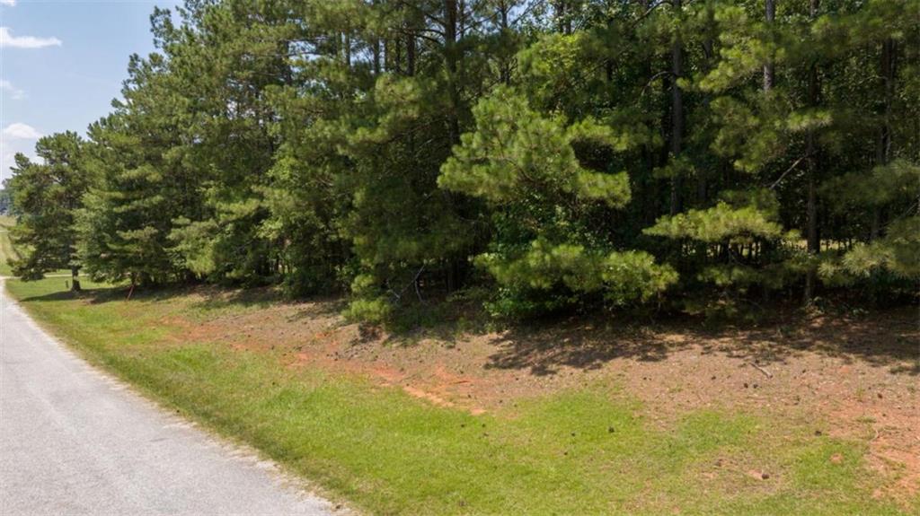 0 Old Hunter Road TRACT 5