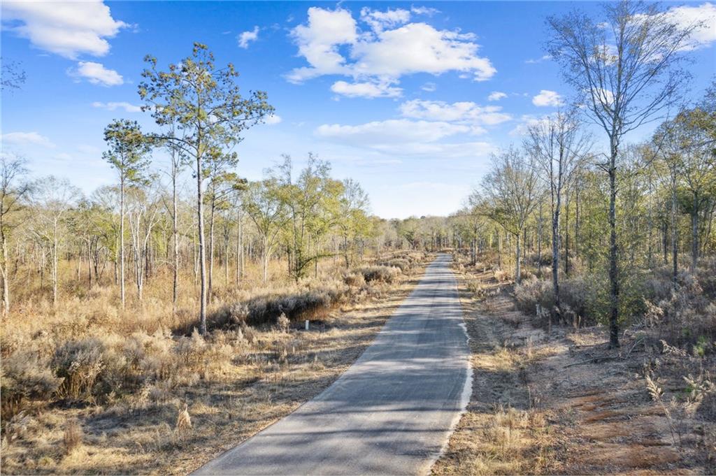 194 Berryman Road, Hartwell, Georgia image 39