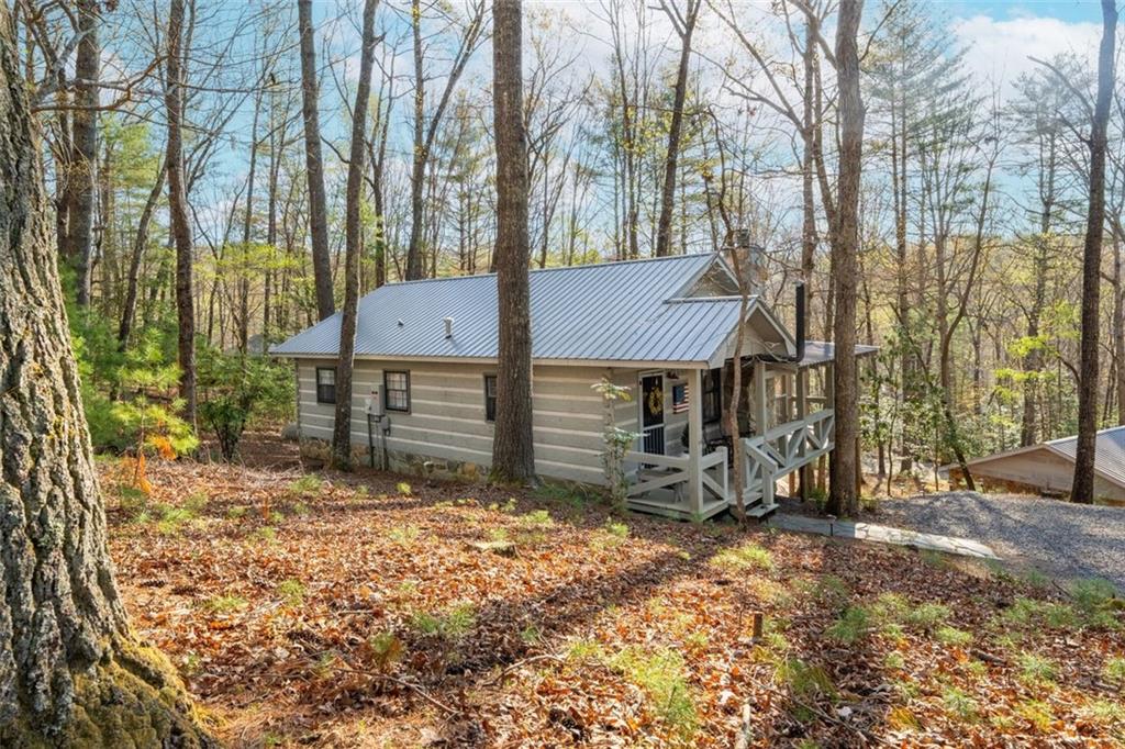 250 Chinkapin Drive, Blue Ridge, Georgia image 38