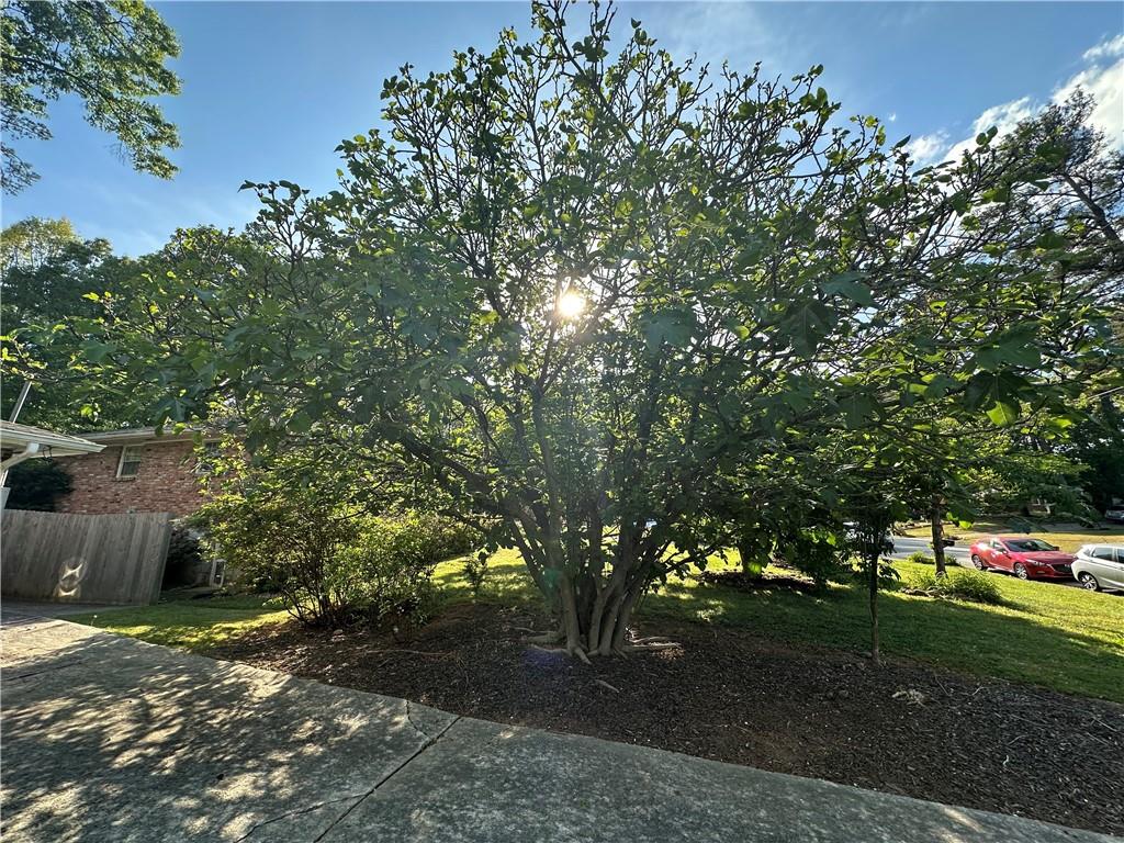 3215 Rehoboth Drive