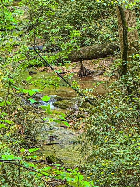00 Cavender Creek Road Dahlonega GA 30533