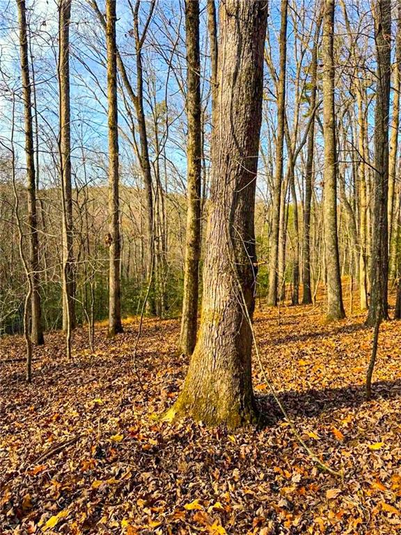 00 Cavender Creek Road