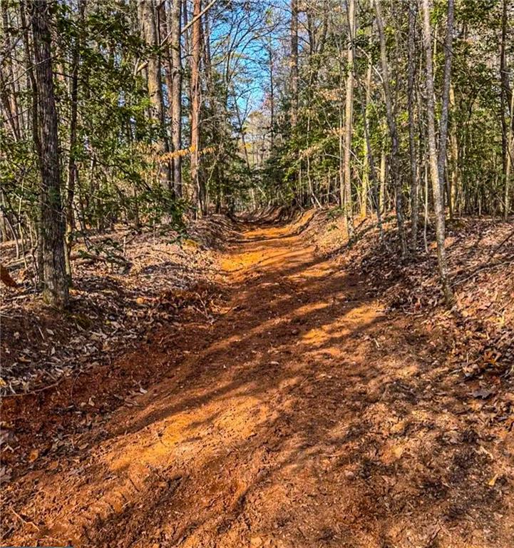 00 Cavender Creek Road