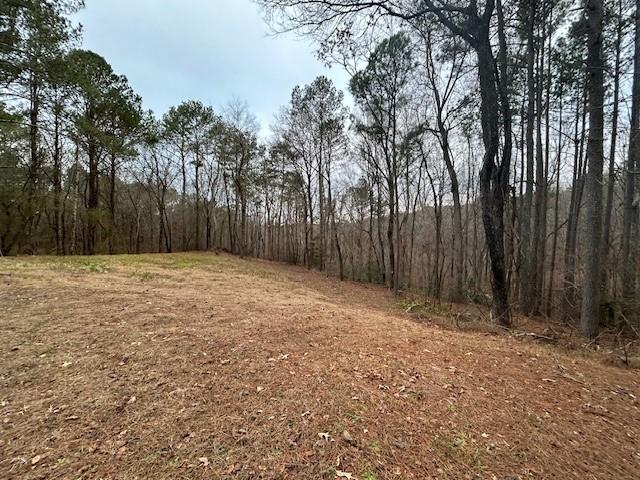 Damascus Road, Ball Ground, Georgia image 19