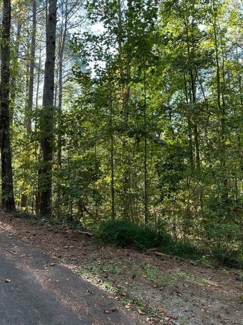 Damascus Road, Ball Ground, Georgia image 43