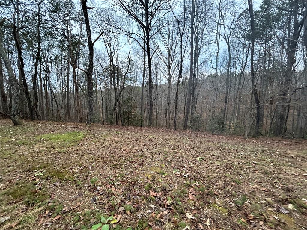 Damascus Road, Ball Ground, Georgia image 8