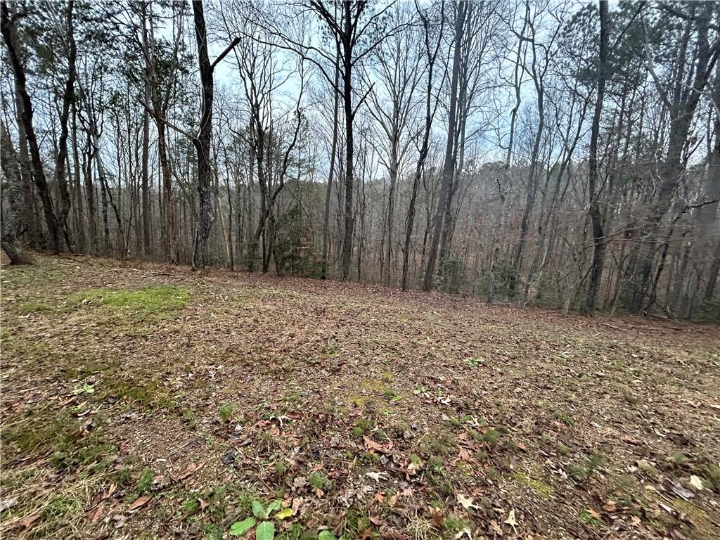 Damascus Road, Ball Ground, Georgia image 37