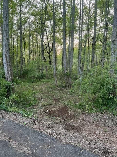 Damascus Road, Ball Ground, Georgia image 48