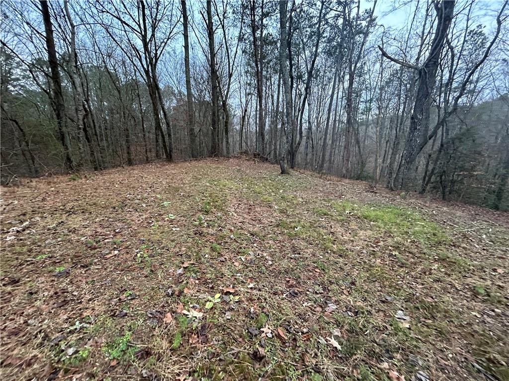 Damascus Road, Ball Ground, Georgia image 9
