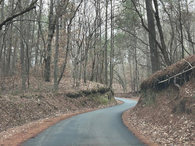 Damascus Road, Ball Ground, Georgia image 31