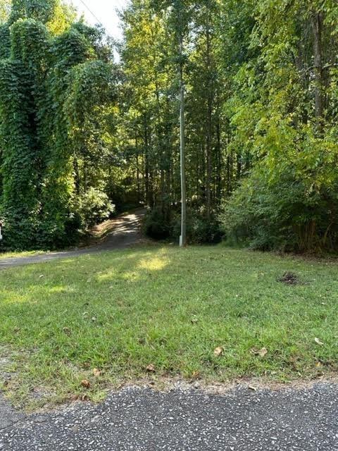 Damascus Road, Ball Ground, Georgia image 47