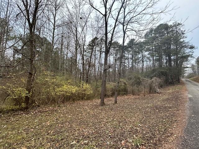 Damascus Road, Ball Ground, Georgia image 33