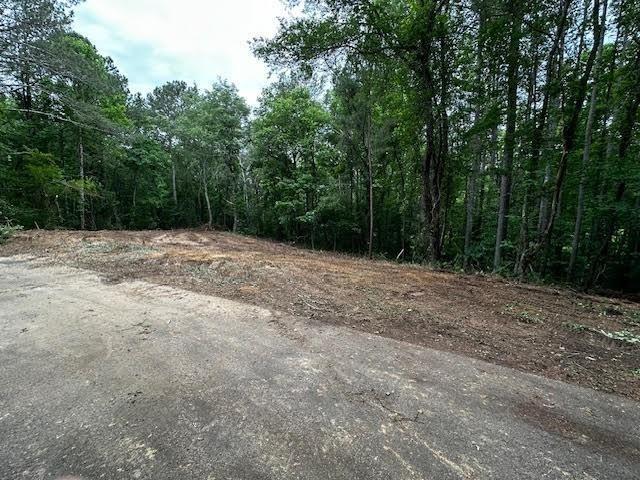 Damascus Road, Ball Ground, Georgia image 12