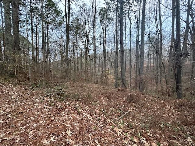 Damascus Road, Ball Ground, Georgia image 25