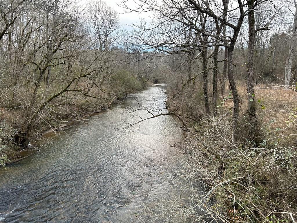 Damascus Road, Ball Ground, Georgia image 13