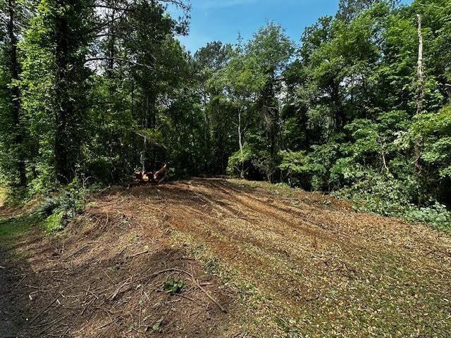 Damascus Road, Ball Ground, Georgia image 38