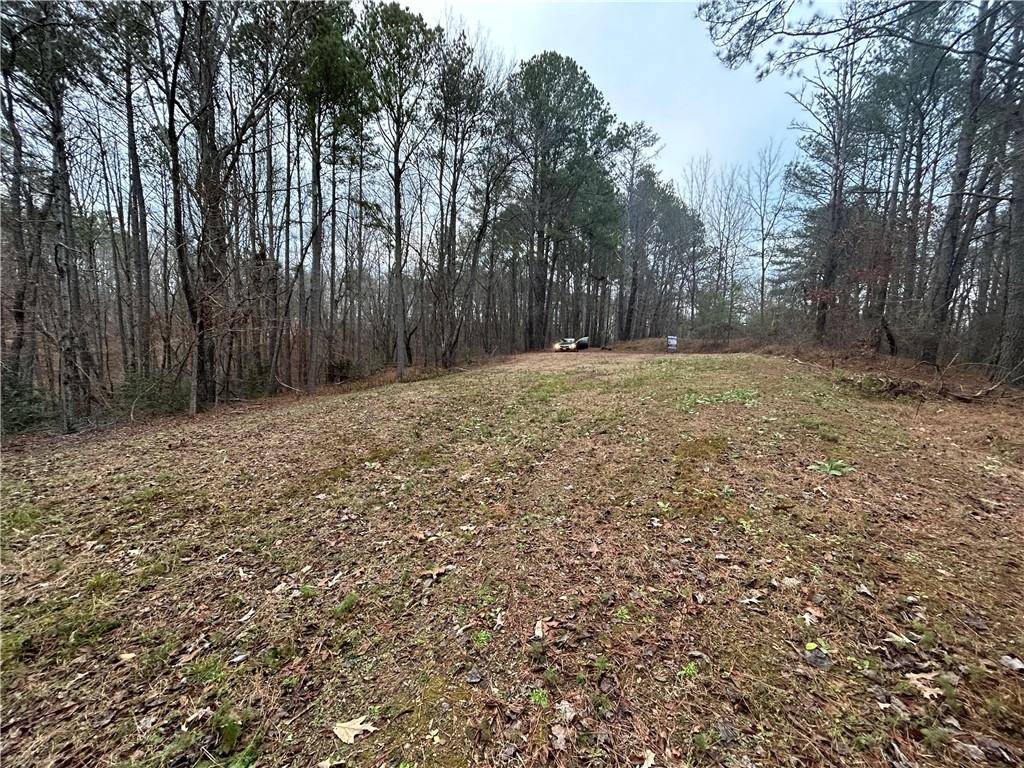 Damascus Road, Ball Ground, Georgia image 36